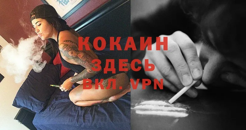 сколько стоит  мориарти формула  Cocaine Колумбийский  Шумерля 