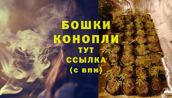 PSILOCYBIN Михайлов