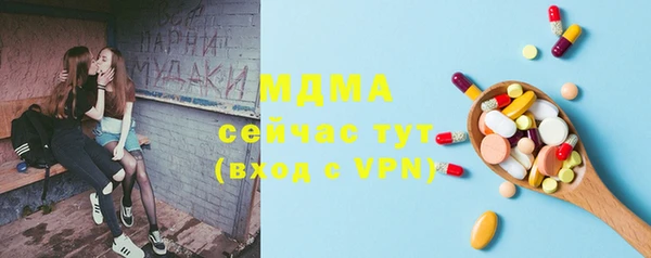 PSILOCYBIN Михайлов