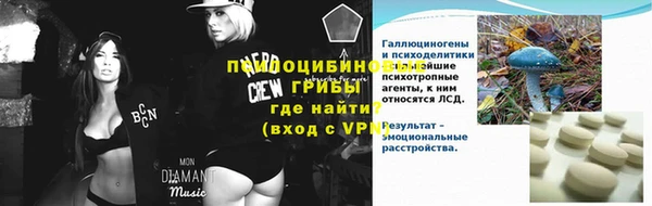 PSILOCYBIN Михайлов