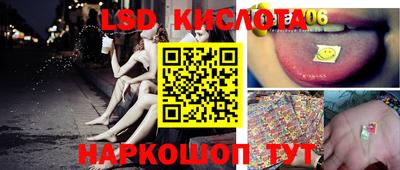 прущие крисы Будённовск