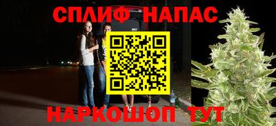 прущие крисы Будённовск