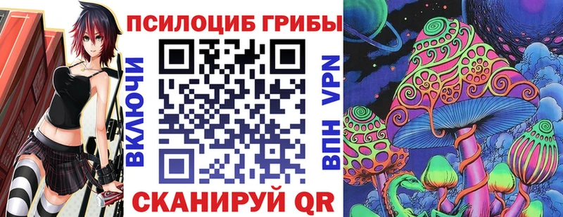 Псилоцибиновые грибы Cubensis  Шумерля 