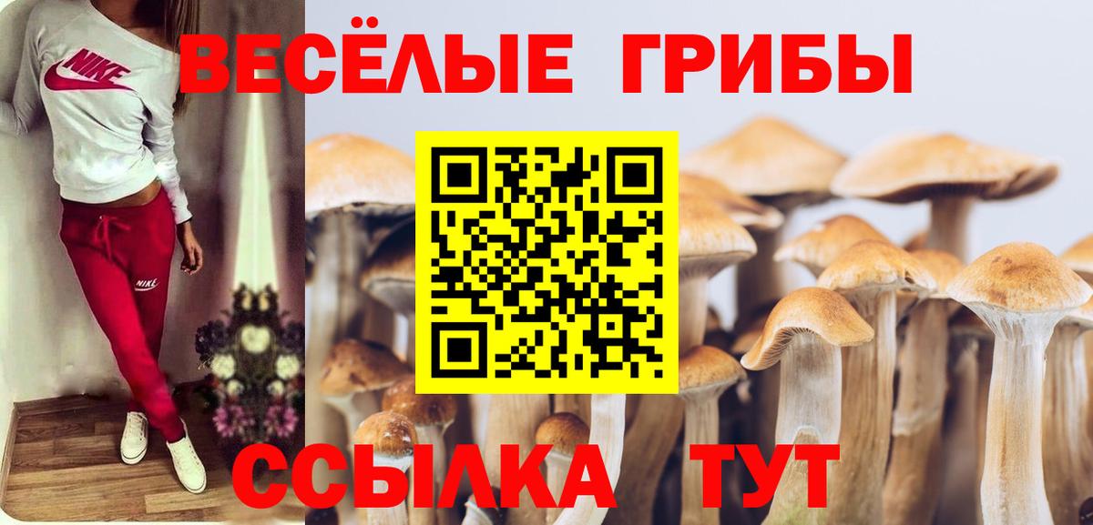 купить закладку  Галлюциногенные грибы Magic Shrooms  Вход с VPN  Шумерля 