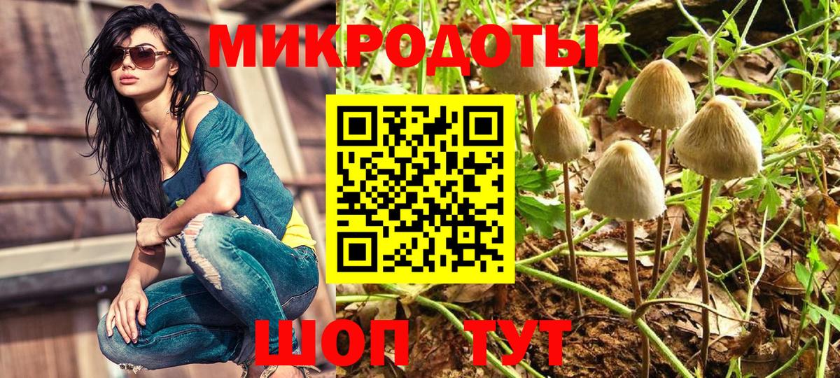 Галлюциногенные грибы мицелий Шумерля