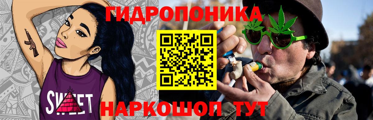 Бошки Шишки гибрид  Шумерля  Шишки марихуана сатива 